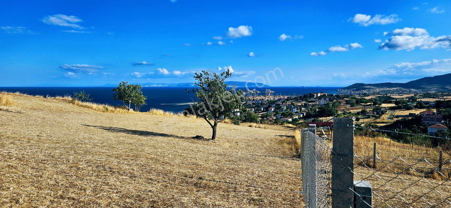 Full Deniz Manzara İster 2 Adet Lüxs Villa Yap İstersen 9 Adet Daire Yap Kelepir Arsa - Görsel 17