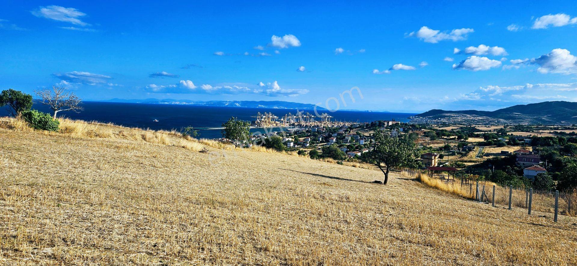 Full Deniz Manzara İster 2 Adet Lüxs Villa Yap İstersen 9 Adet Daire Yap Kelepir Arsa - Görsel 7