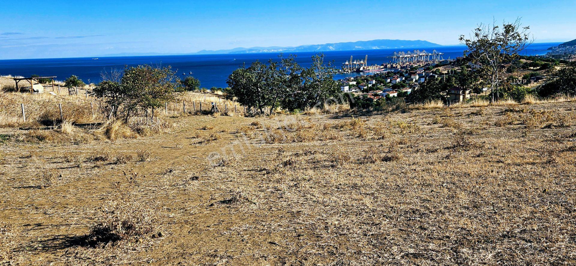 Full Deniz Manzara İster 2 Adet Lüxs Villa Yap İstersen 9 Adet Daire Yap Kelepir Arsa - Görsel 24
