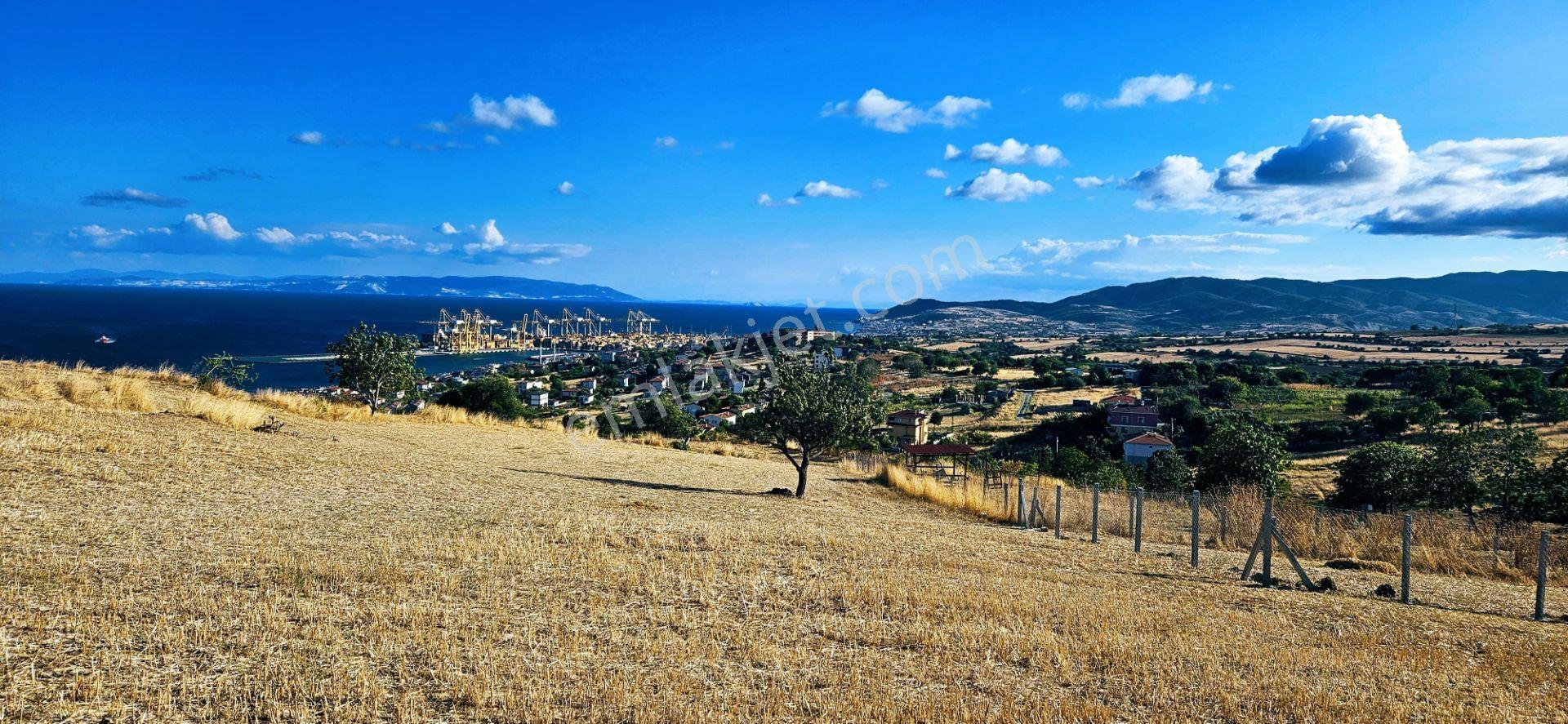 Full Deniz Manzara İster 2 Adet Lüxs Villa Yap İstersen 9 Adet Daire Yap Kelepir Arsa - Görsel 33
