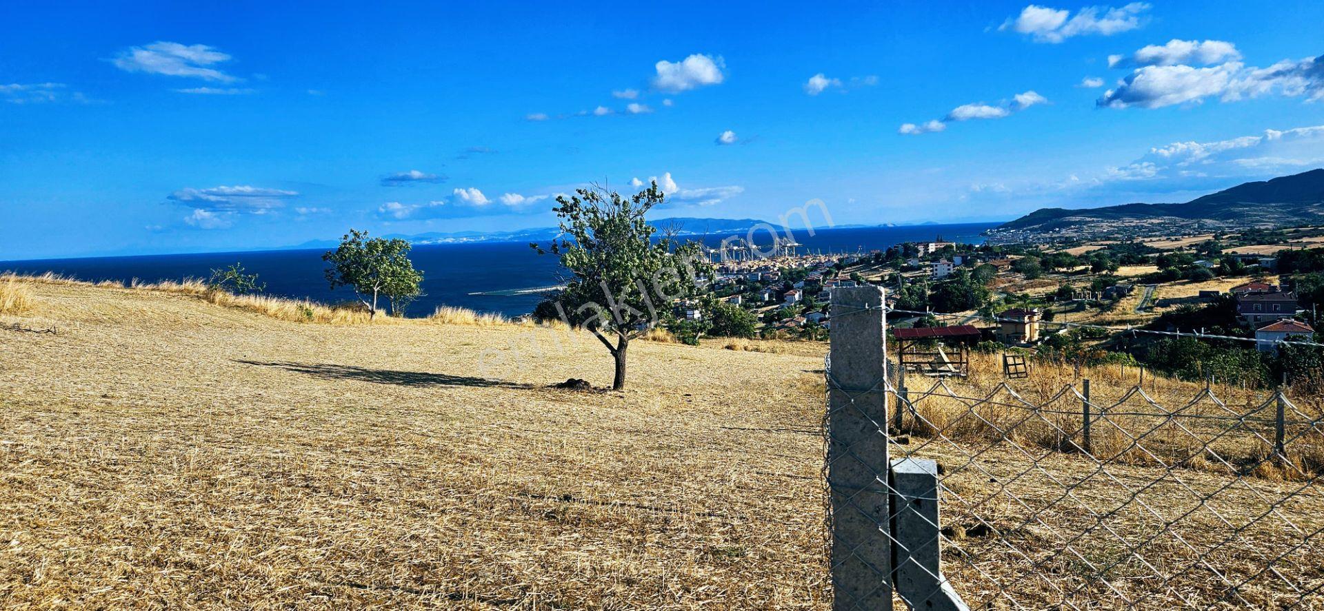 Full Deniz Manzara İster 2 Adet Lüxs Villa Yap İstersen 9 Adet Daire Yap Kelepir Arsa - Görsel 6