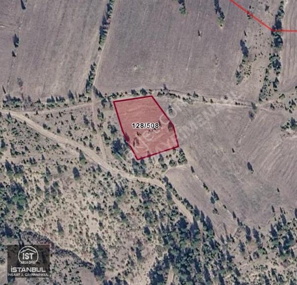 Emet Çerte'de Yatırımlık Müstakil Parsel Satılık Tarla - 2.480m²
