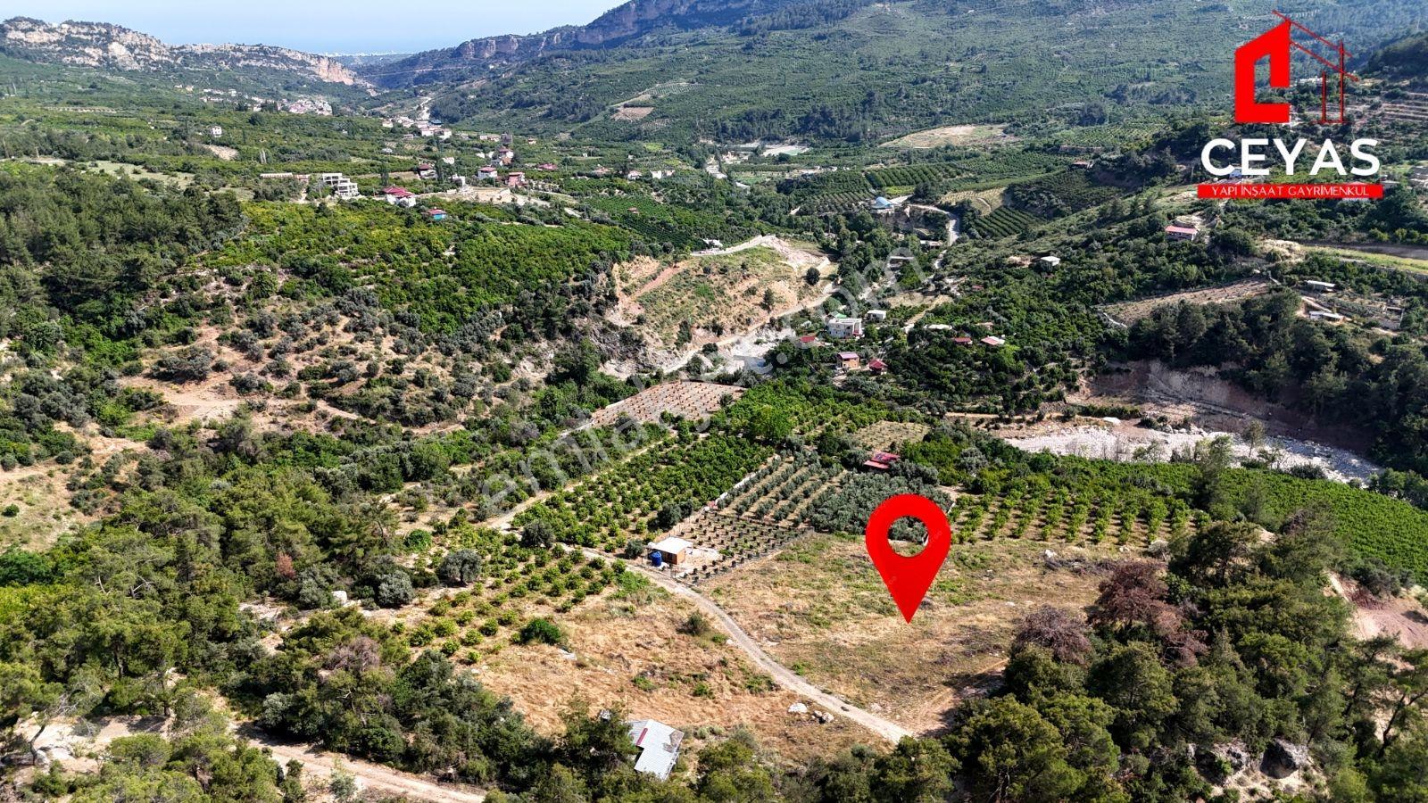 Yenişehir Turunçlu 4217m² Mersin,gölet Ve Doğa Manzaralı Arazi - Görsel 6