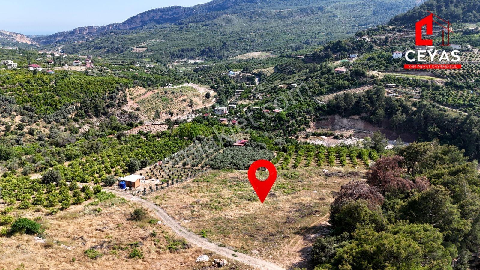 Yenişehir Turunçlu 4217m² Mersin,gölet Ve Doğa Manzaralı Arazi - Görsel 5