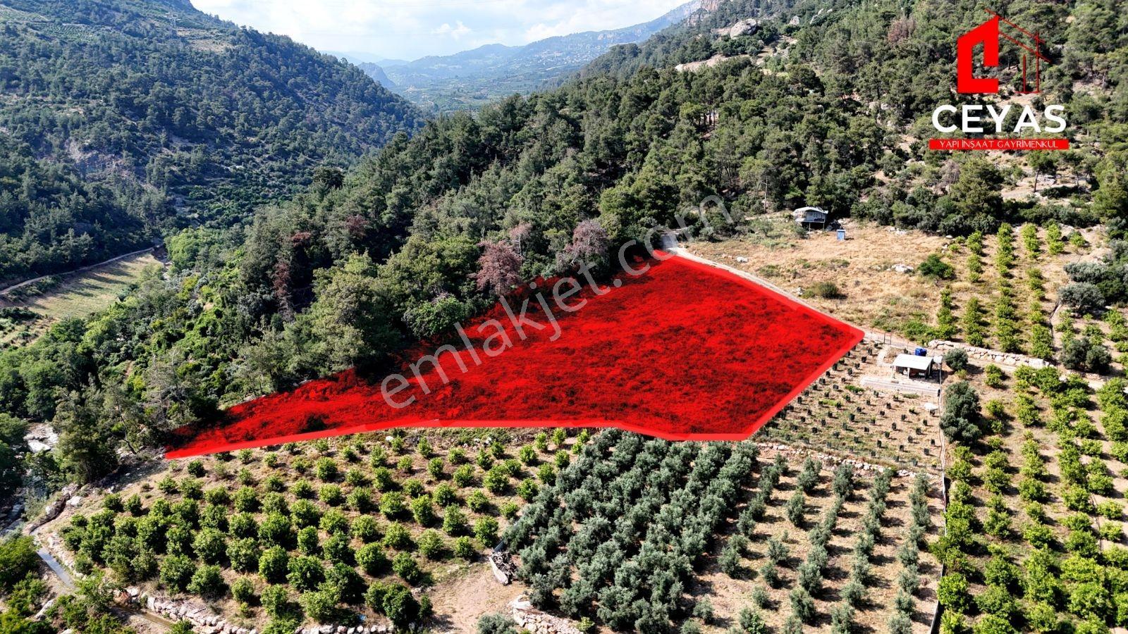 Yenişehir Turunçlu 4217m² Mersin,gölet Ve Doğa Manzaralı Arazi - Görsel 4