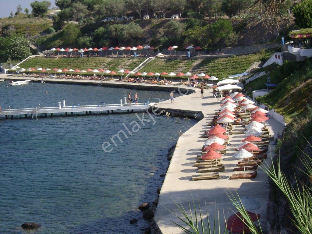 Muğla Bodrum Bağlada Denize Sıfır Sitede Kiralık Daire - Görsel 7