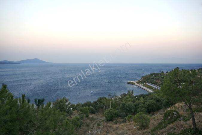 Muğla Bodrum Bağlada Denize Sıfır Sitede Kiralık Daire - Görsel 3