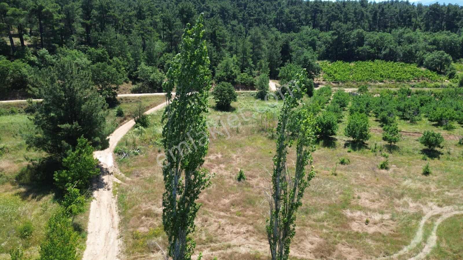 Bayramiç Külcüler Satılık Arazi - Görsel 5