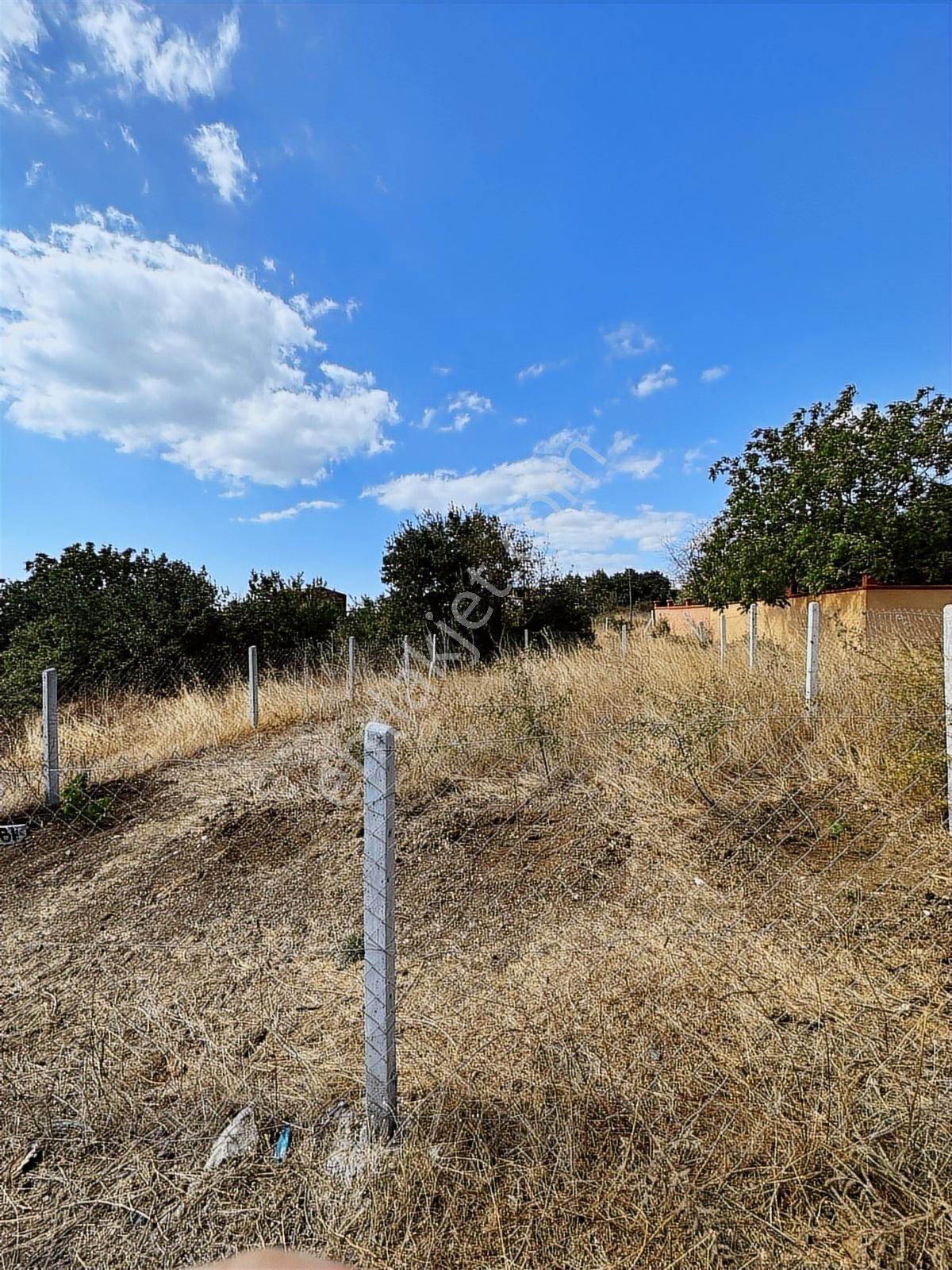 Çorlu Yenice De Satılık Villa İmarlı Arsamız - Görsel 3