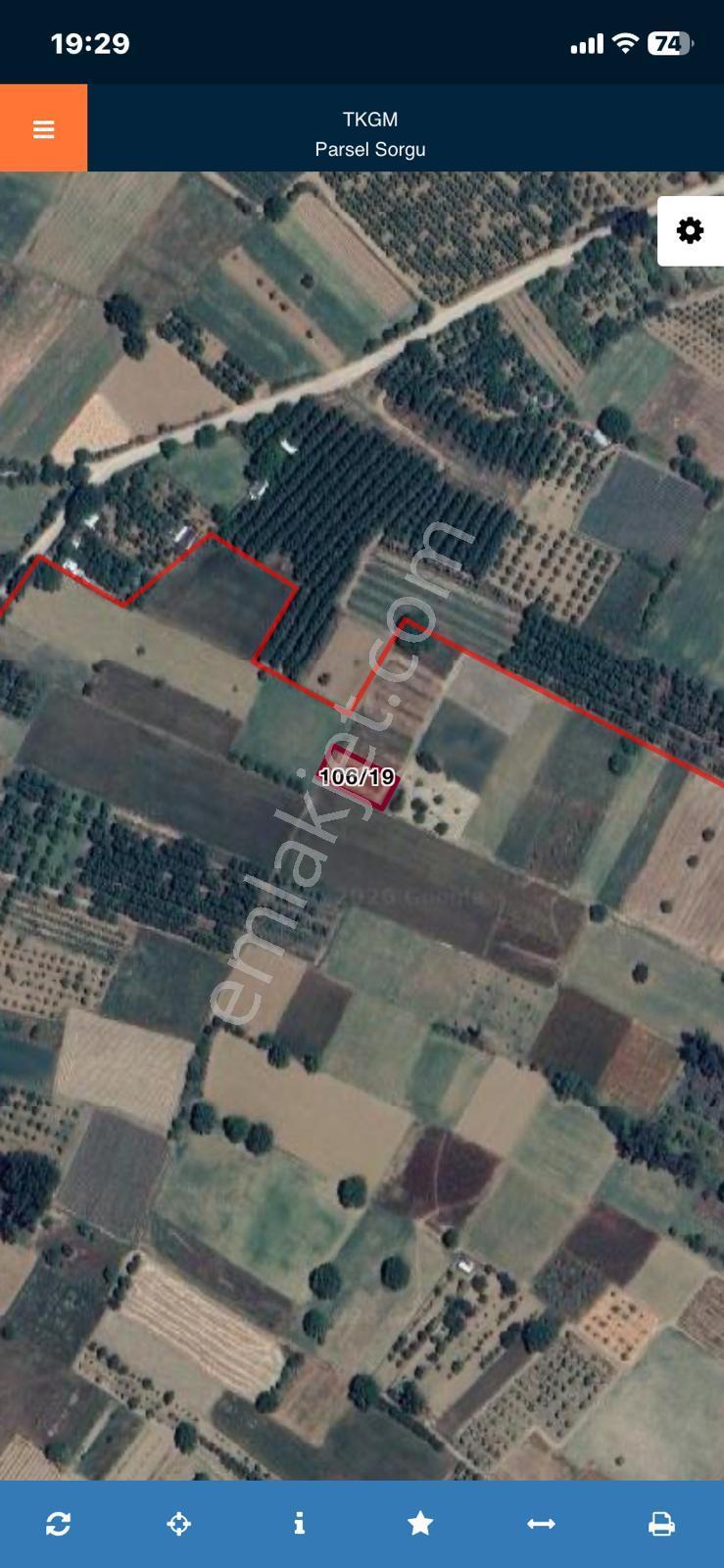 Bursa İnegöl Küçükyenice Köyünde Fırsat Satılık Tarla - Görsel 4