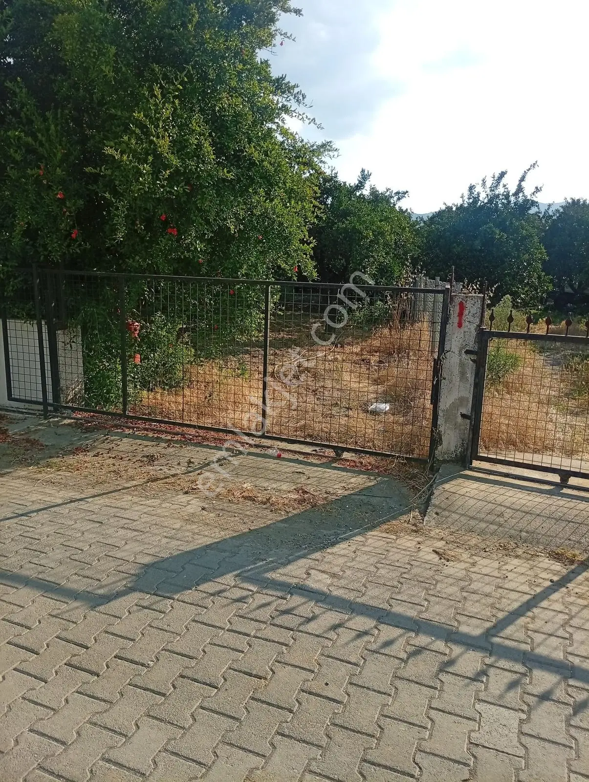 Hamitköyde 2500 M2 Narenciye Bahçesi - Görsel 10