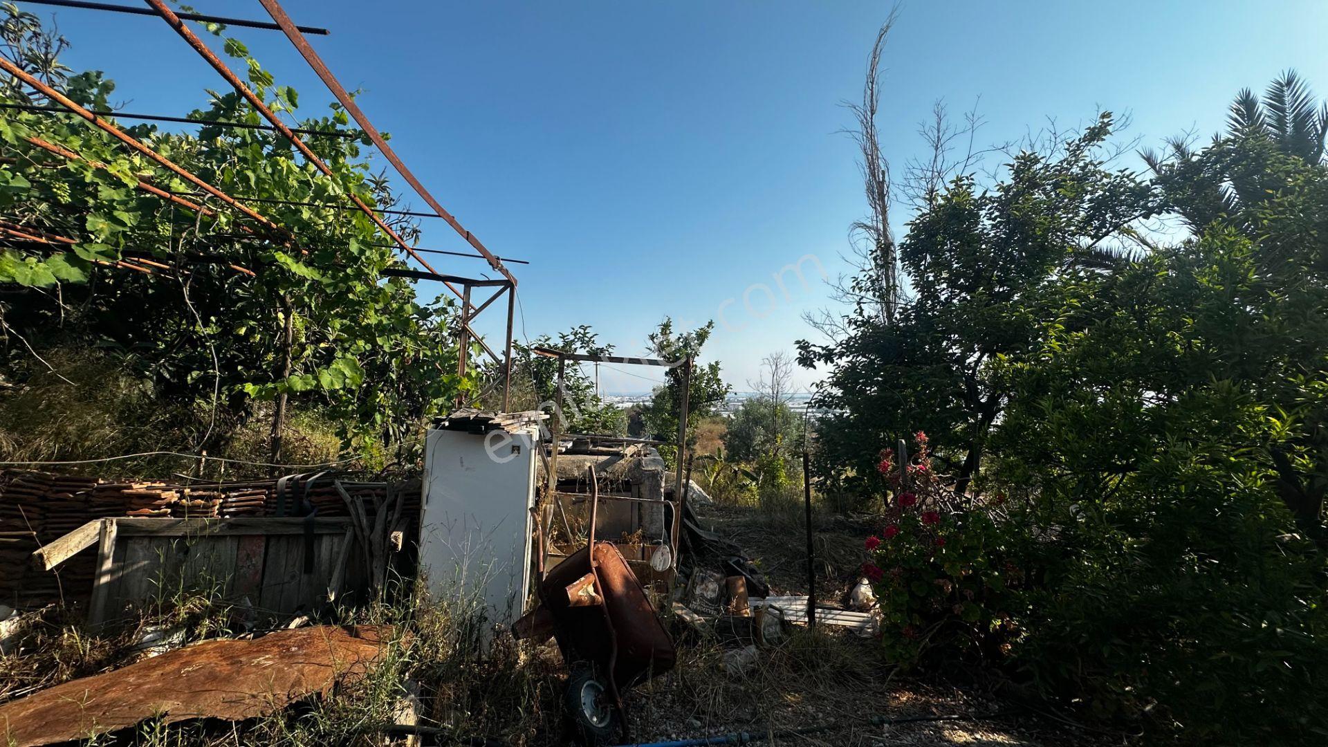 Antalya Beykonak Mahallesi'nde Manzaralı Müstakil Ev Ve Bahçesi - Görsel 16
