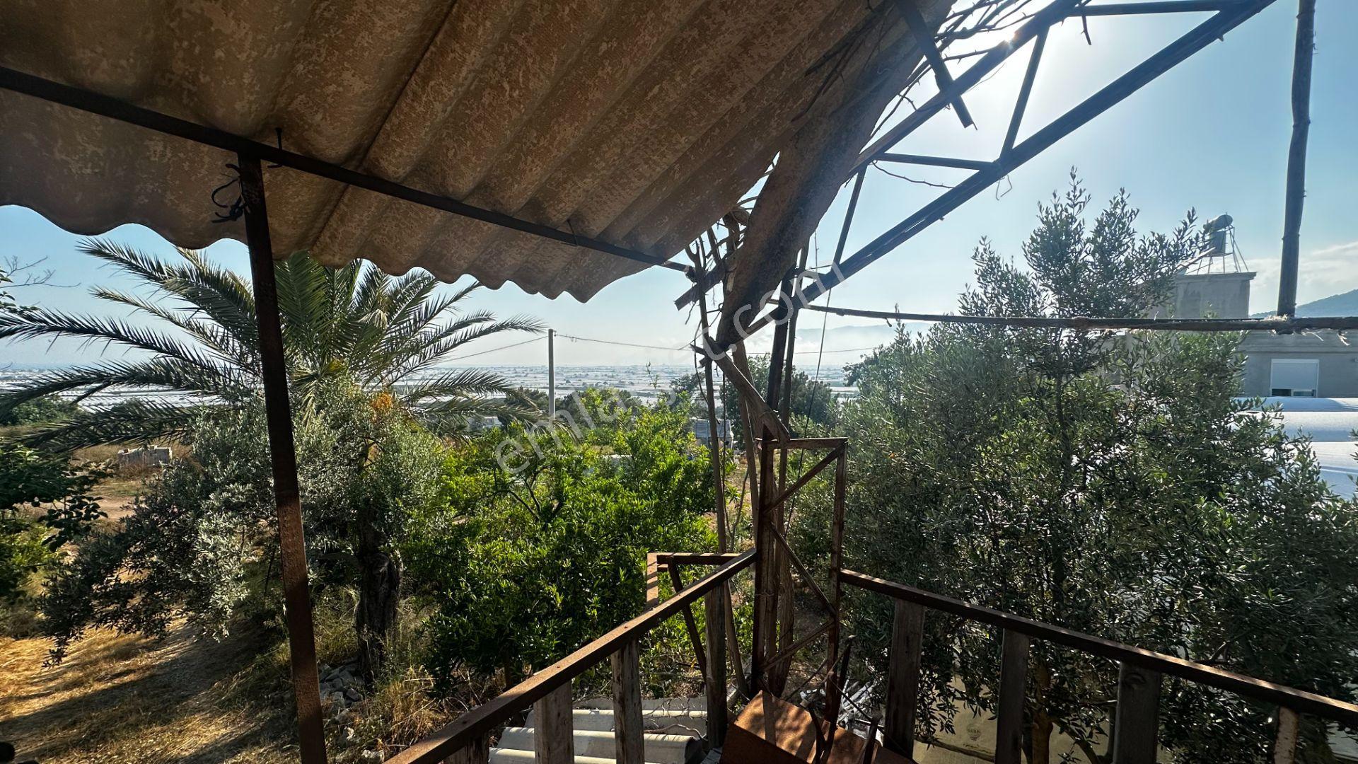 Antalya Beykonak Mahallesi'nde Manzaralı Müstakil Ev Ve Bahçesi - Görsel 32