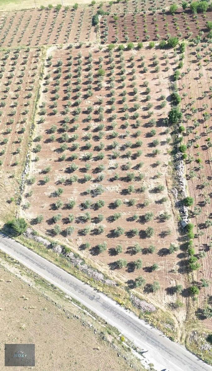 Roxy Group'tan Kürüm'de Asfalta 70 M² Cepheli Satılık Arazi ! ! - Görsel 16