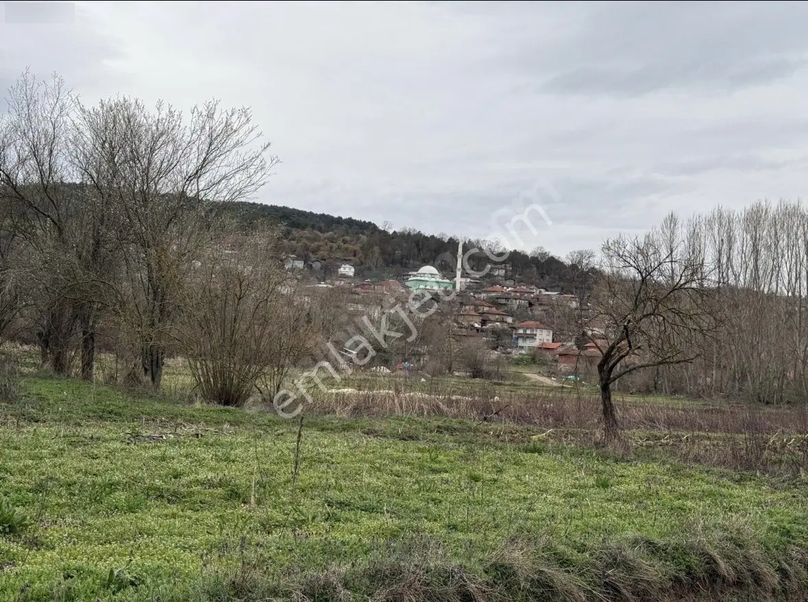 Balcity'den Balıkesir Kepsut’ta Köy Mücavir Alanına Sınır Resmi Yola Cepheli Fırsat Tarla!! - Görsel 2