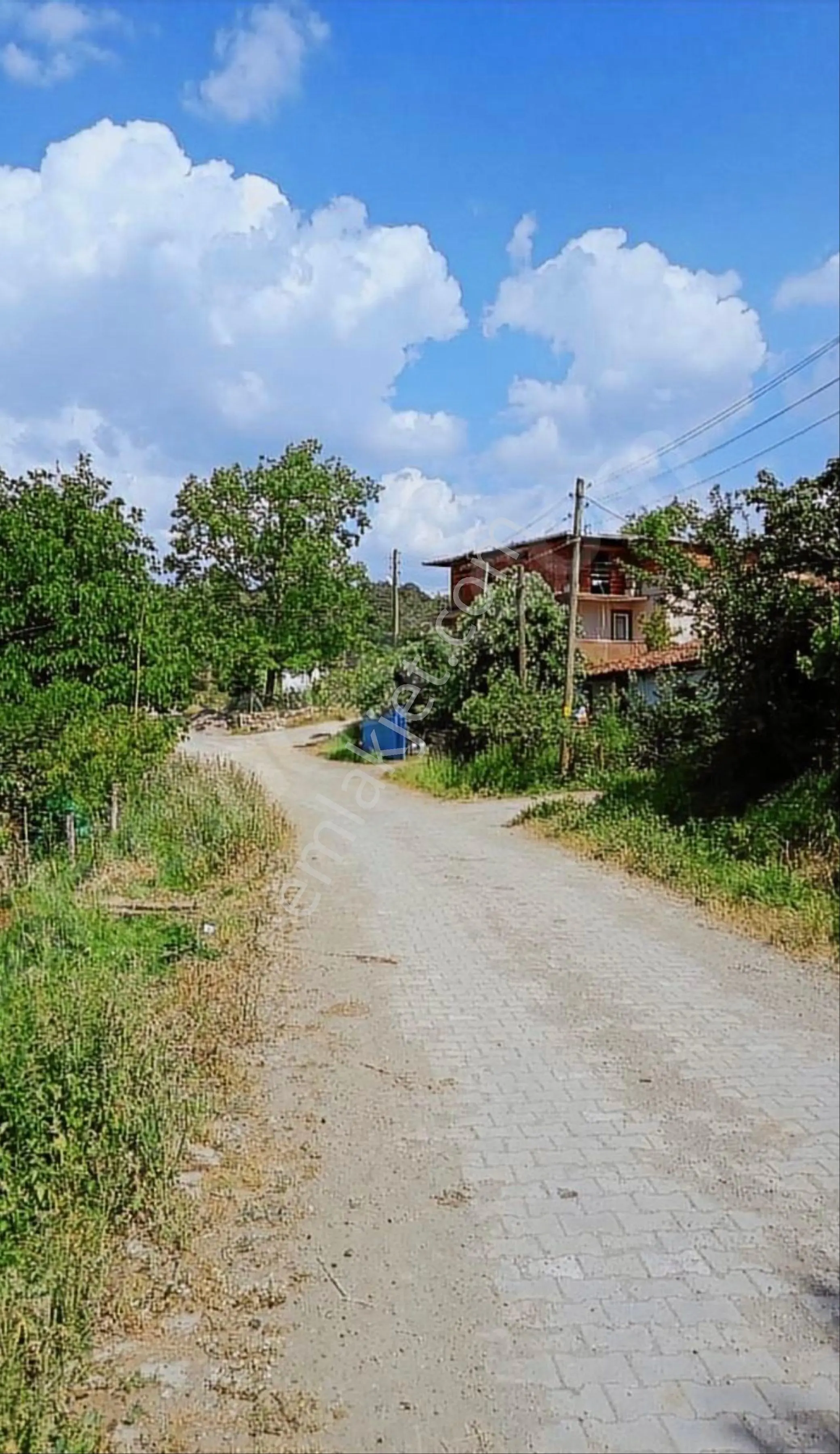 Balcity'den Balıkesir Kepsut’ta Köy Mücavir Alanına Sınır Resmi Yola Cepheli Fırsat Tarla!! - Görsel 3