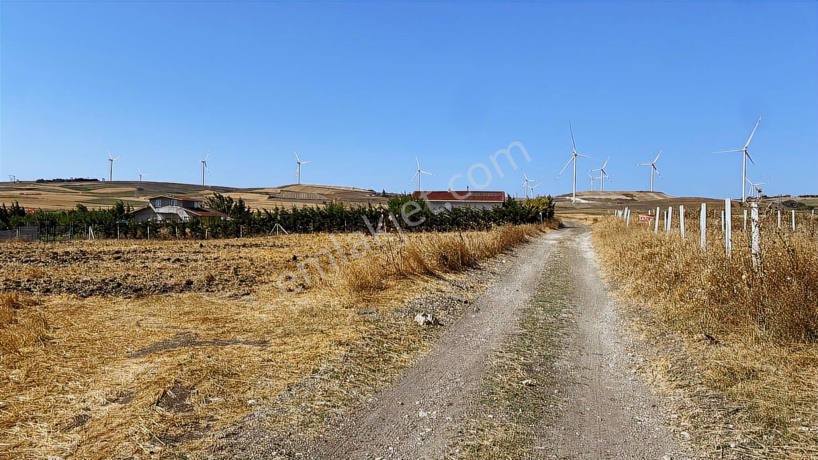 Fenerköy De 1.500 M2 Satılık Hisse - Görsel 13