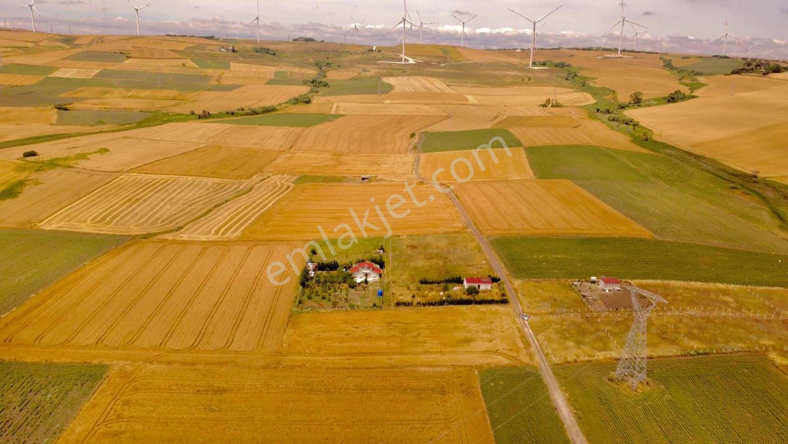 Fenerköy De 1.500 M2 Satılık Hisse - Görsel 3