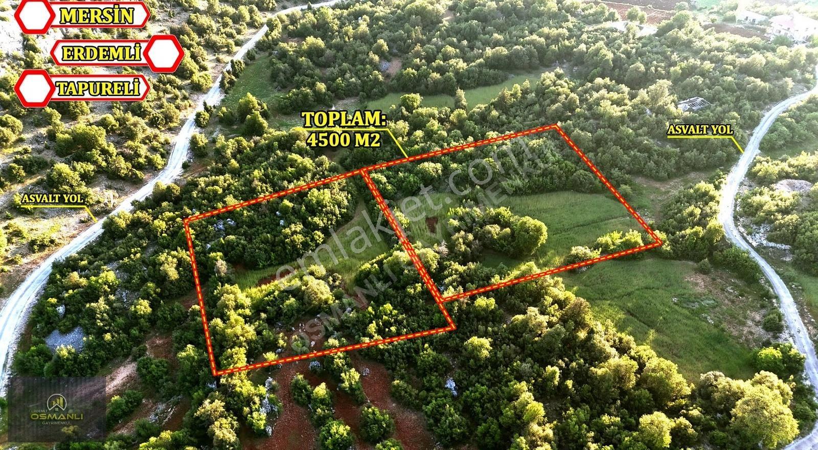 Yatırıma Uygun Verimli Kırmızı Topraklı 4500 M2 Arazi Köyiçi - Görsel 2