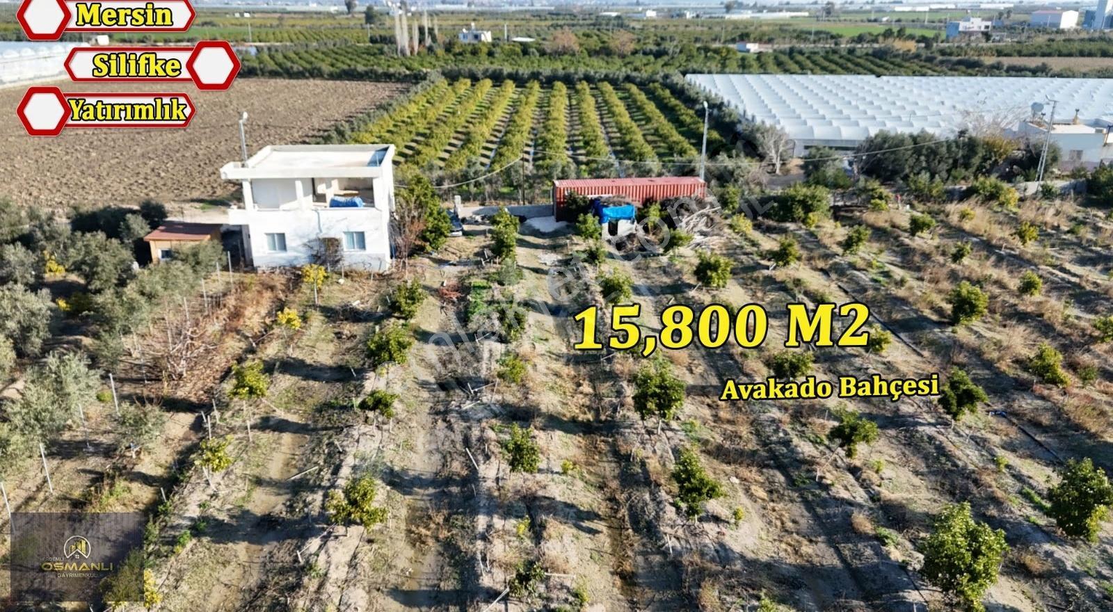 Silifke Kurtuluş 2 Katlı Müstakil Ev Ve 15800m2 Avukado Bahçesi
