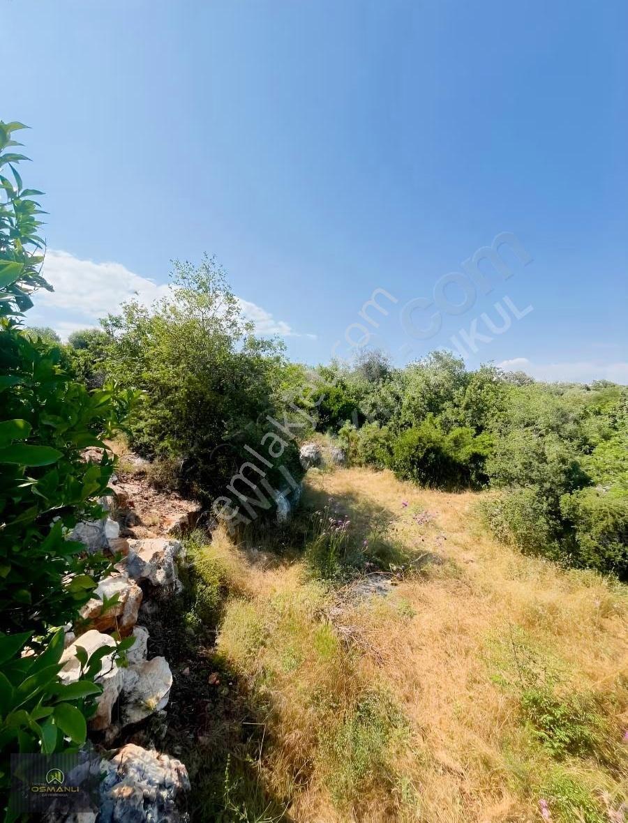 Tirtarda Deniz Manzaralı Kelepir Tarla - Görsel 4
