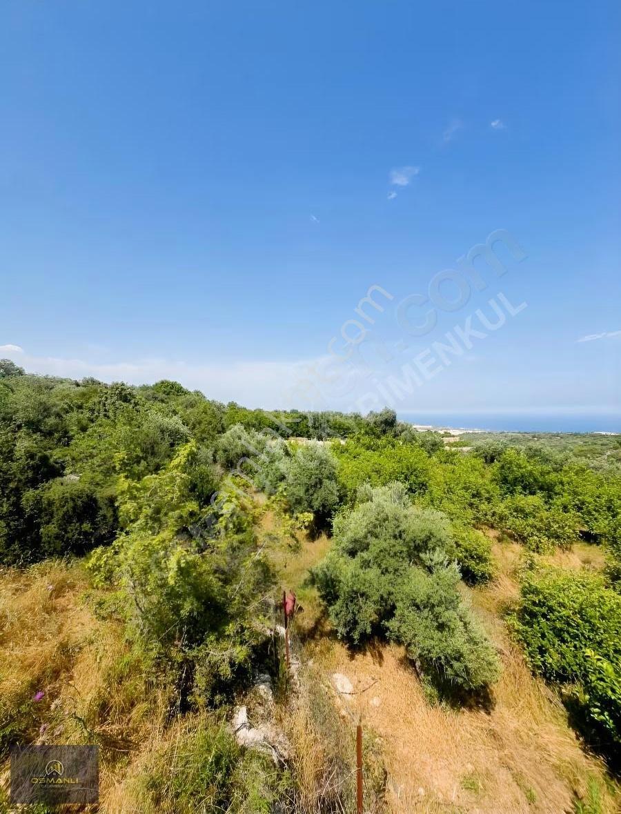 Tirtarda Deniz Manzaralı Kelepir Tarla - Görsel 8
