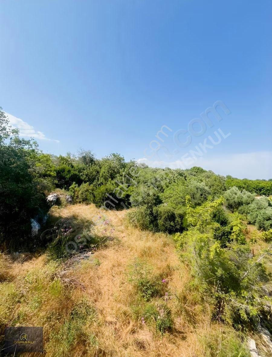 Tirtarda Deniz Manzaralı Kelepir Tarla - Görsel 2