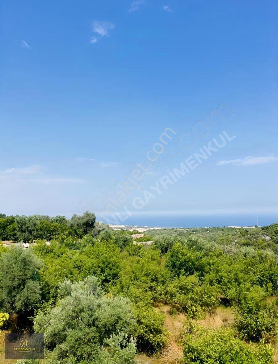 Tirtarda Deniz Manzaralı Kelepir Tarla - Görsel 5