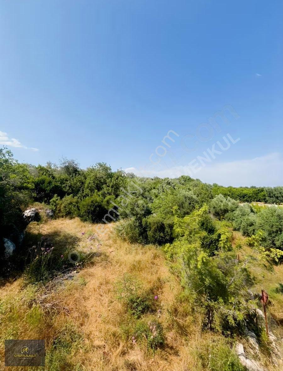 Tirtarda Deniz Manzaralı Kelepir Tarla - Görsel 3