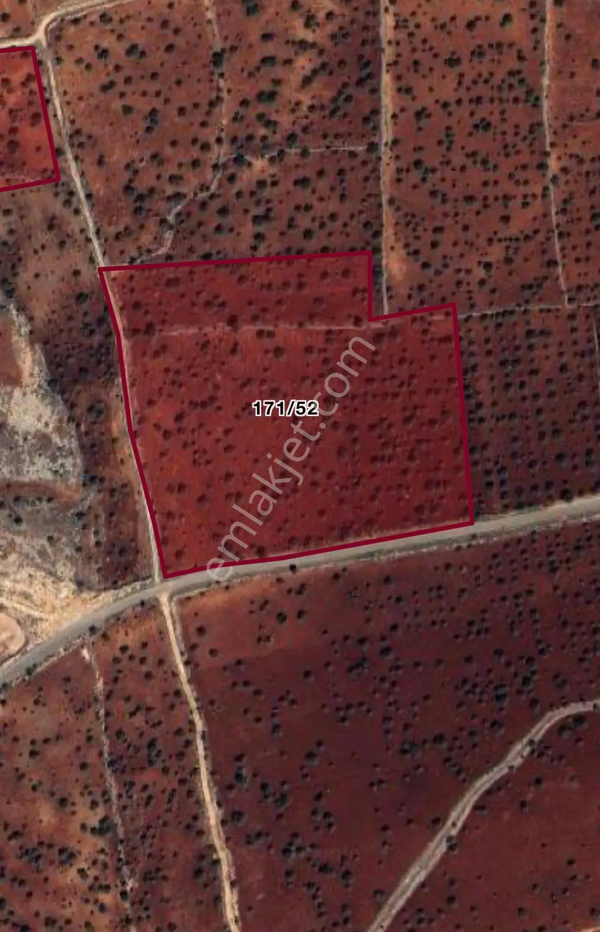 Sahibinden Satılık 34300m2 Ve 11500m2 Yavuzeli Sarılar Köyünde Fıstıklık - Görsel 3