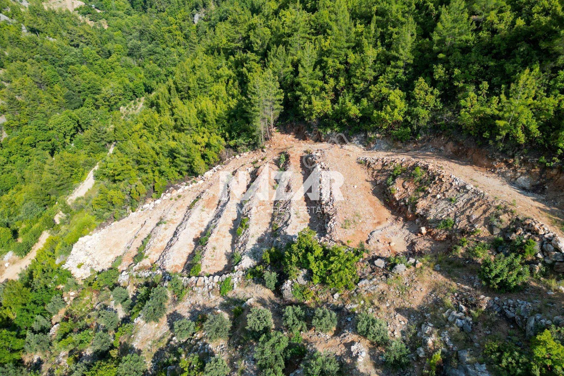 Alanya Süleymanlar’da 2.007 M² Satılık Tarla - Görsel 8