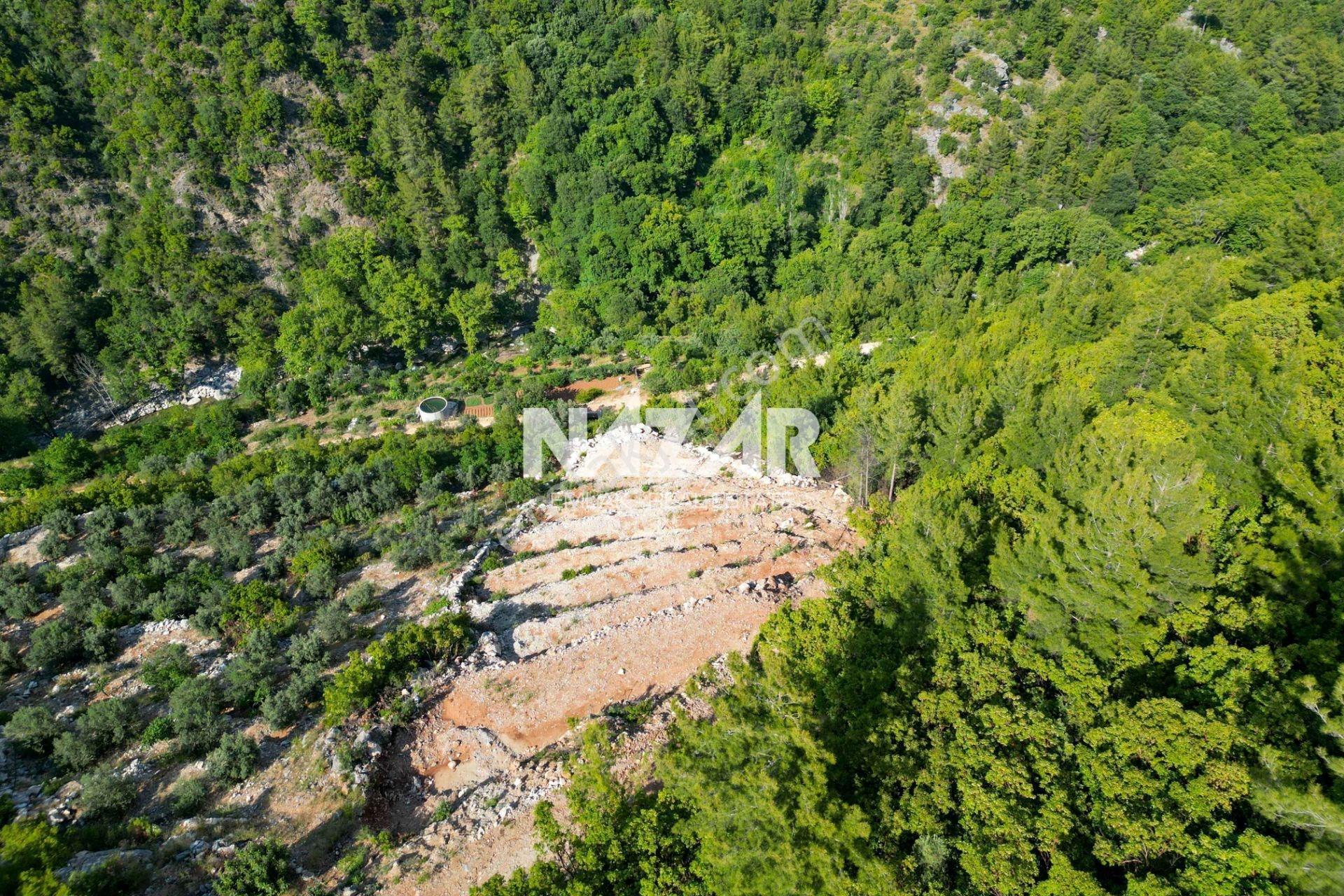 Alanya Süleymanlar’da 2.007 M² Satılık Tarla - Görsel 6