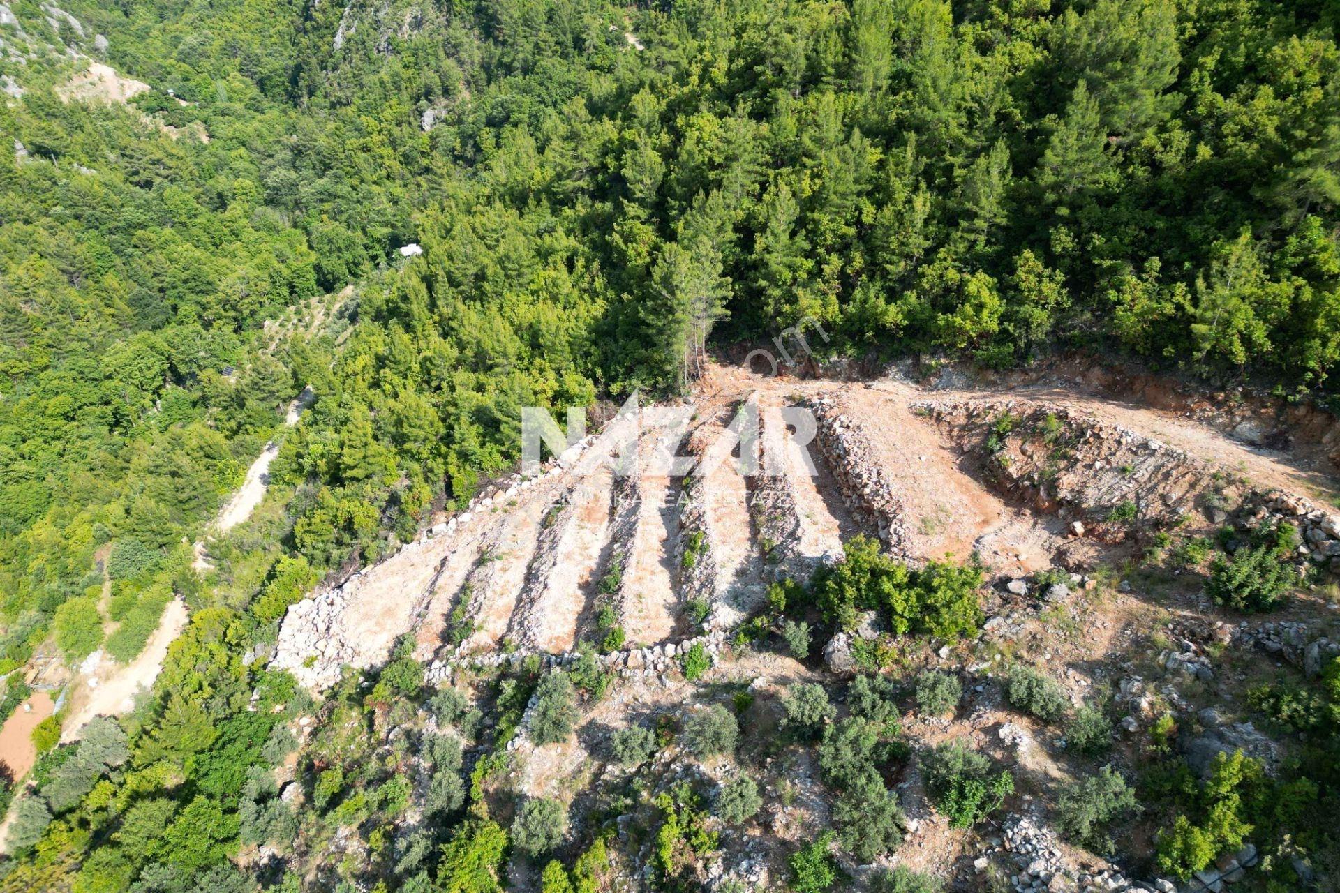 Alanya Süleymanlar’da 2.007 M² Satılık Tarla - Görsel 5