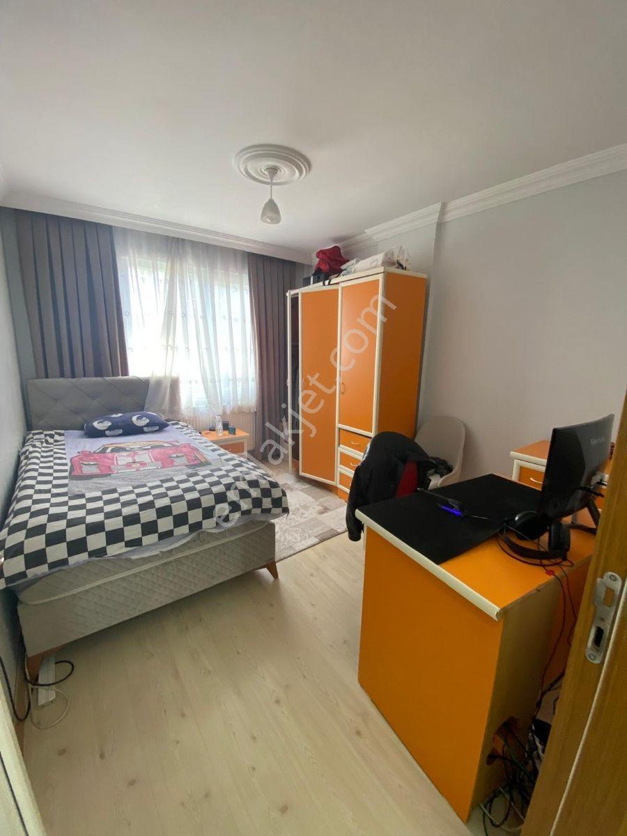 Satık Mükemmel Daire - Görsel 6