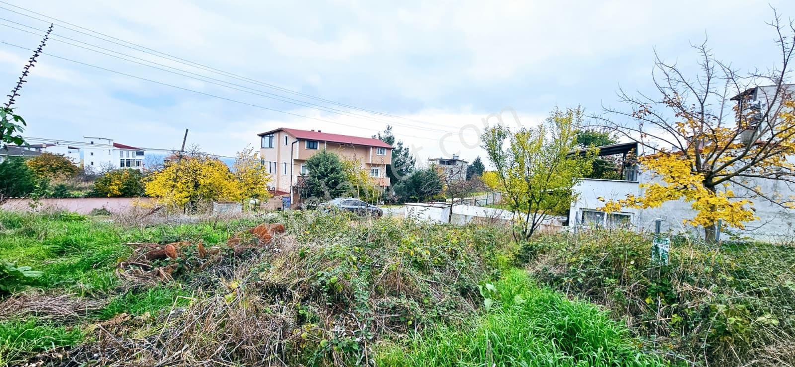 Denize Yakın Alt Yapısı Hazır Projeli Trıblexs Fırsat-kelepir Arsa - Görsel 31