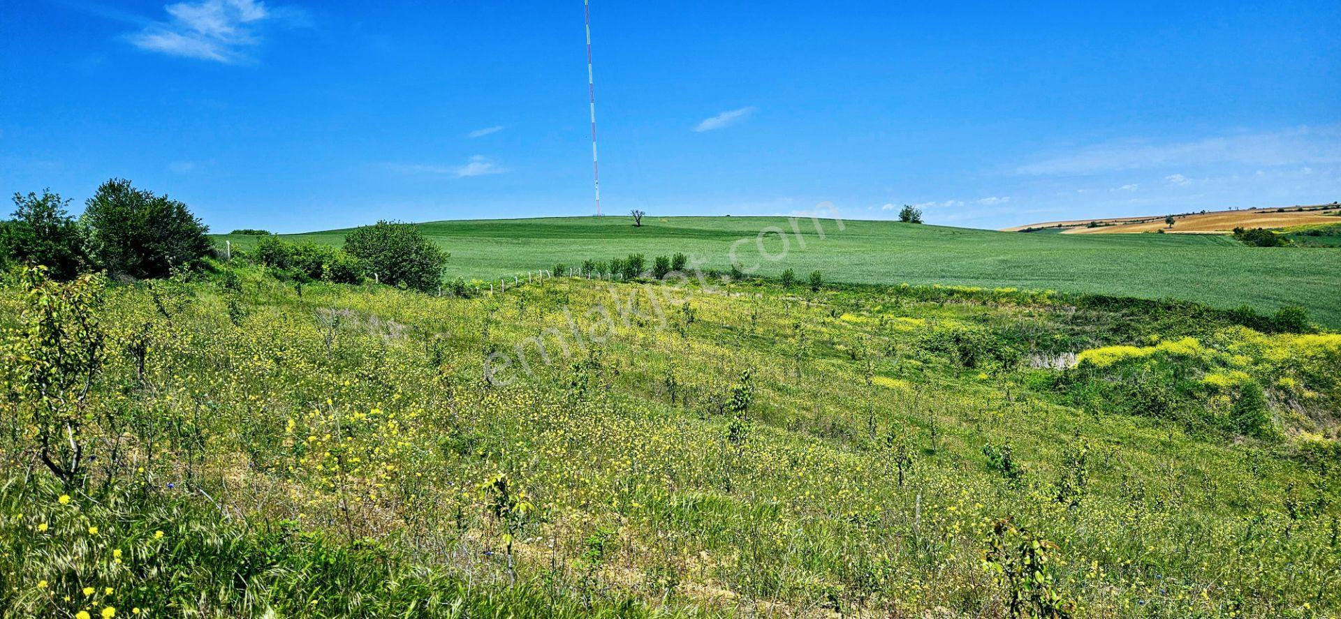 Takas+nakit Hayelinizdeki Çiftliği Kurmak İçin Fırsat Kelepir Arazi - Görsel 30
