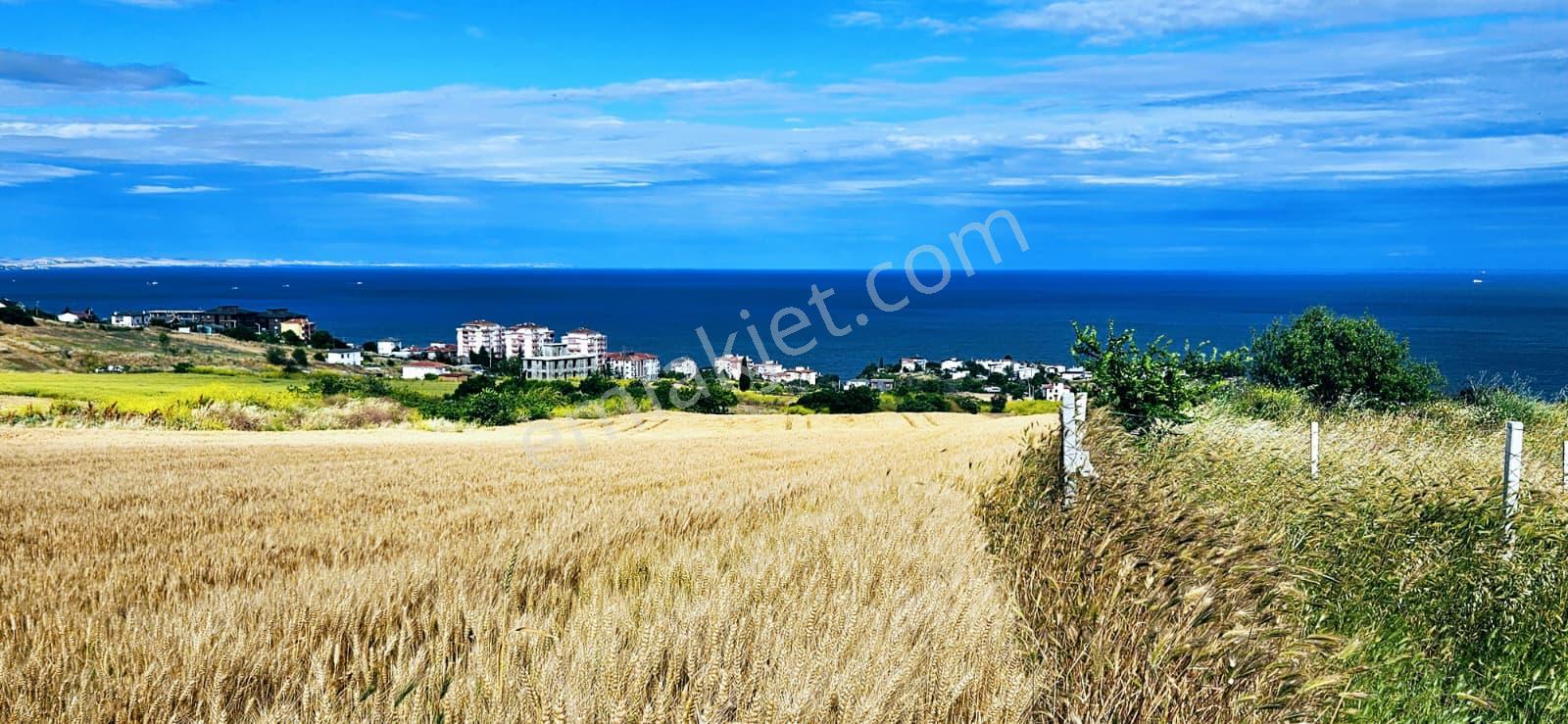 Full Deniz Ve Şehir Manzara Lüxs Havuzlu Yada 100 Adet 2+1 Daire Projesine Uygun Arsa - Görsel 24