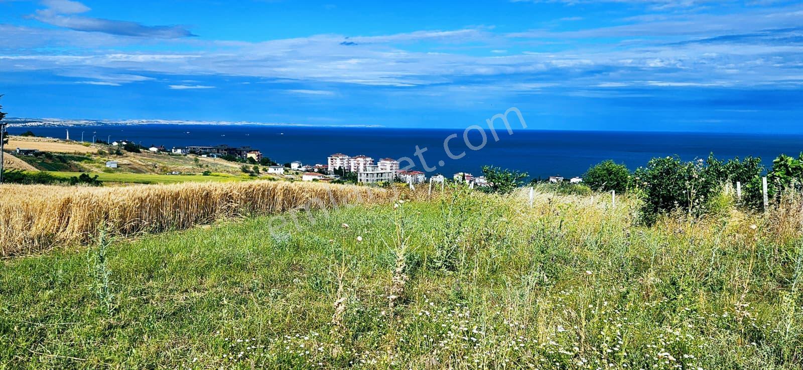 Full Deniz Ve Şehir Manzara Lüxs Havuzlu Yada 100 Adet 2+1 Daire Projesine Uygun Arsa - Görsel 21