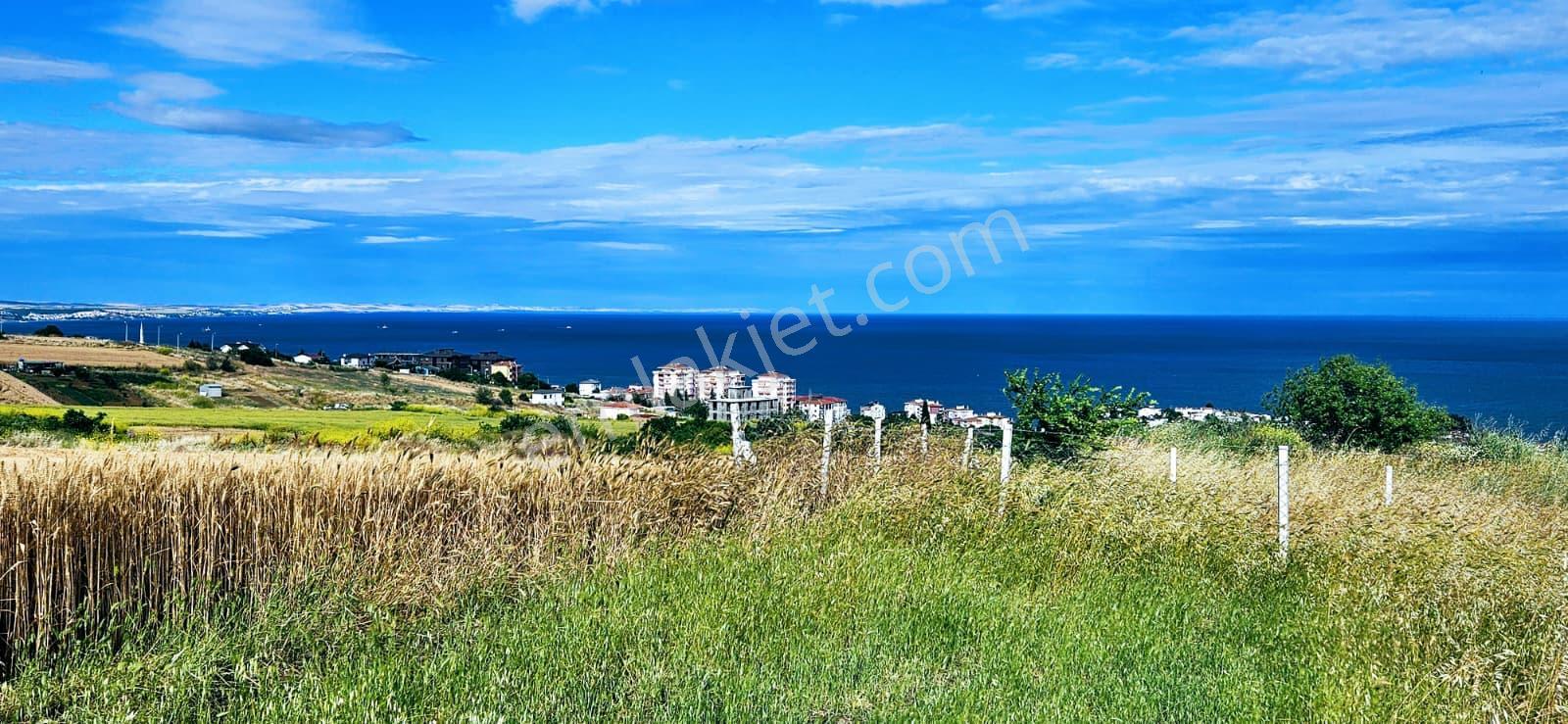Full Deniz Ve Şehir Manzara Lüxs Havuzlu Yada 100 Adet 2+1 Daire Projesine Uygun Arsa - Görsel 17