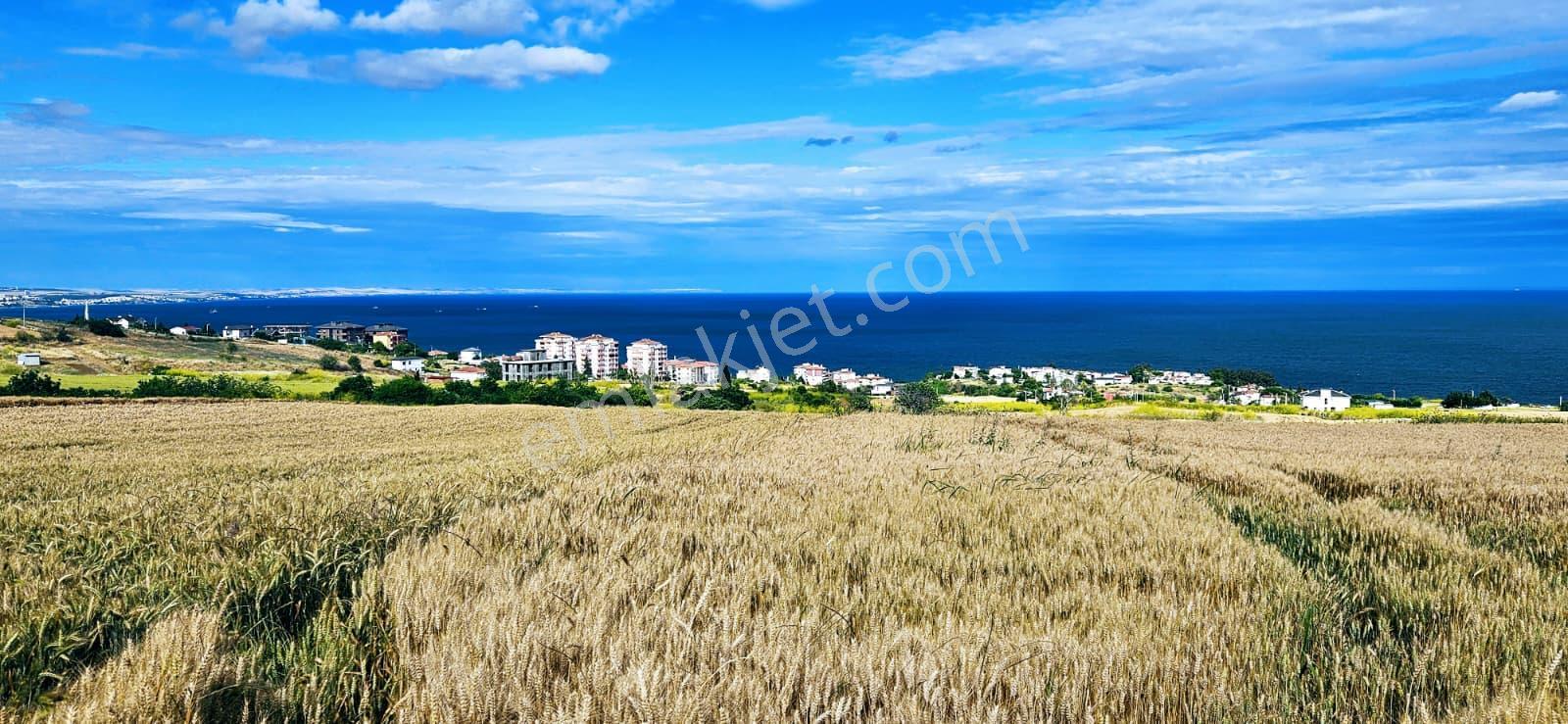 Full Deniz Ve Şehir Manzara Lüxs Havuzlu Yada 100 Adet 2+1 Daire Projesine Uygun Arsa - Görsel 30