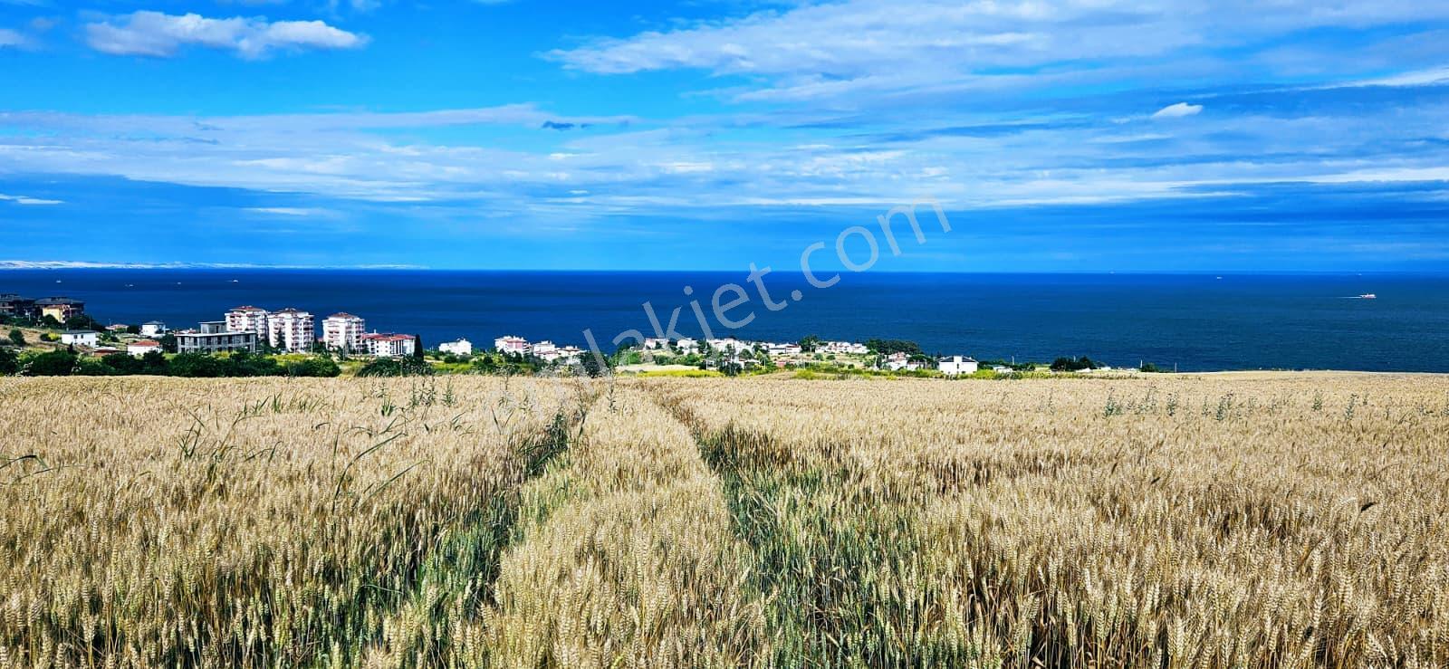 Full Deniz Ve Şehir Manzara Lüxs Havuzlu Yada 100 Adet 2+1 Daire Projesine Uygun Arsa - Görsel 15