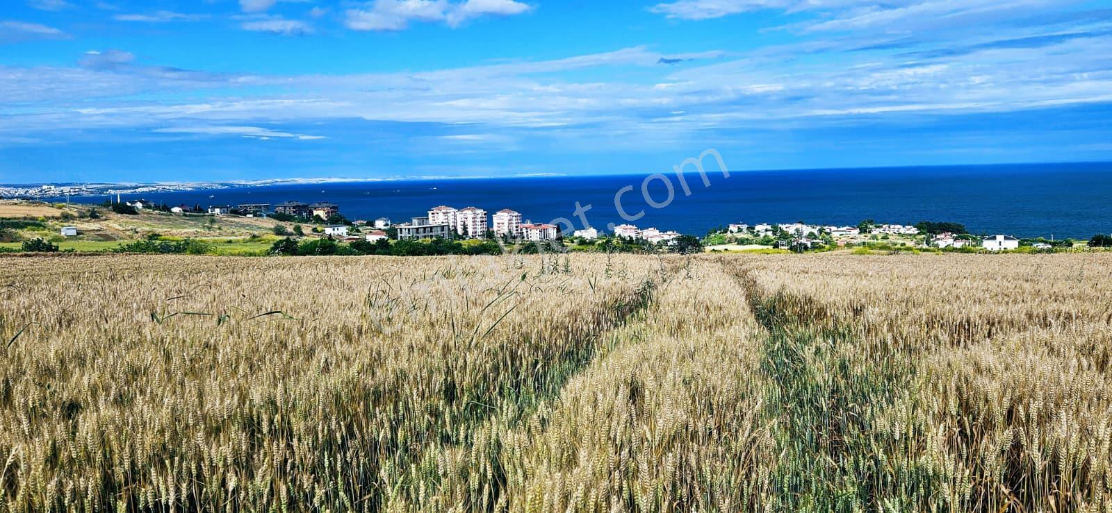Full Deniz Ve Şehir Manzara Lüxs Havuzlu Yada 100 Adet 2+1 Daire Projesine Uygun Arsa - Görsel 18
