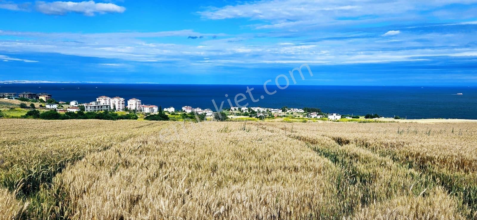 Full Deniz Ve Şehir Manzara Lüxs Havuzlu Yada 100 Adet 2+1 Daire Projesine Uygun Arsa - Görsel 33