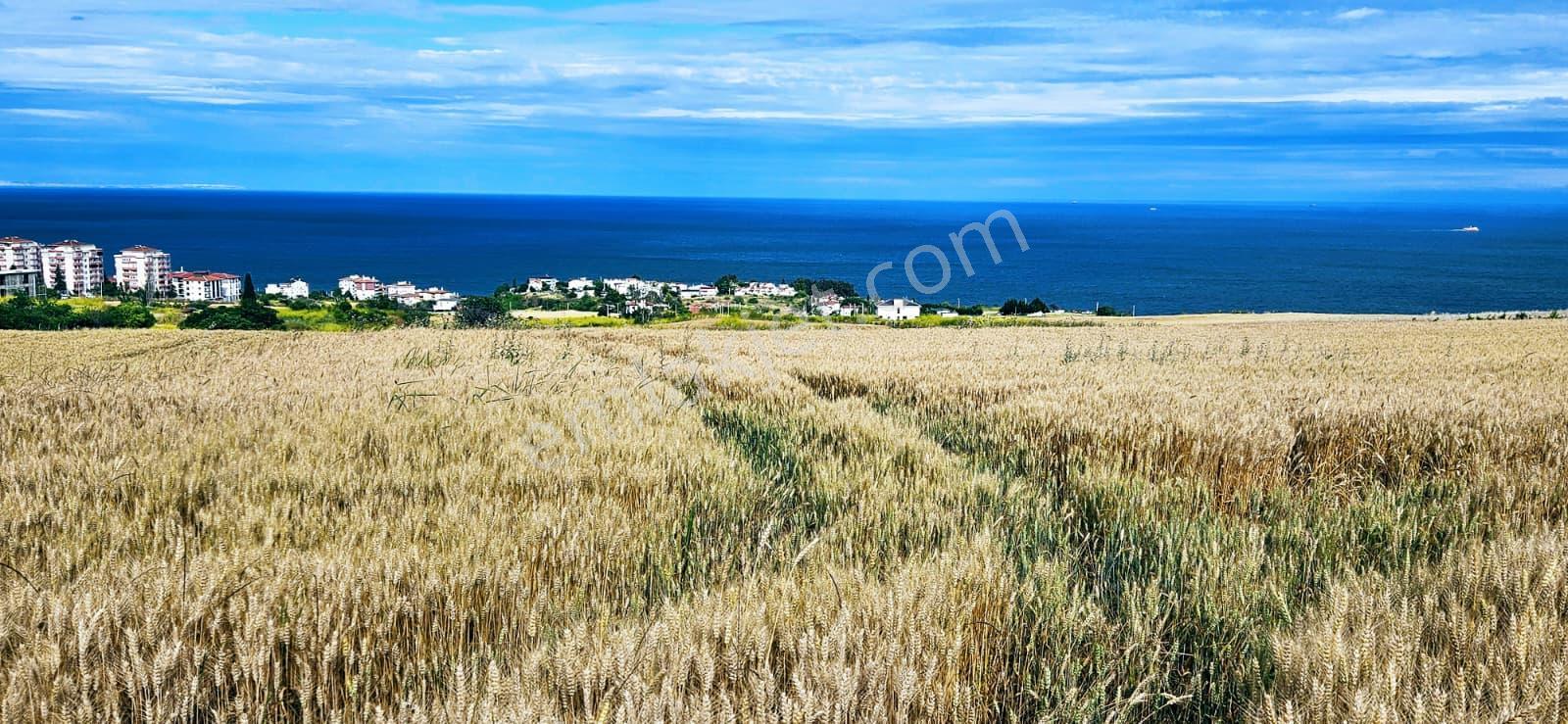 Full Deniz Ve Şehir Manzara Lüxs Havuzlu Yada 100 Adet 2+1 Daire Projesine Uygun Arsa - Görsel 26