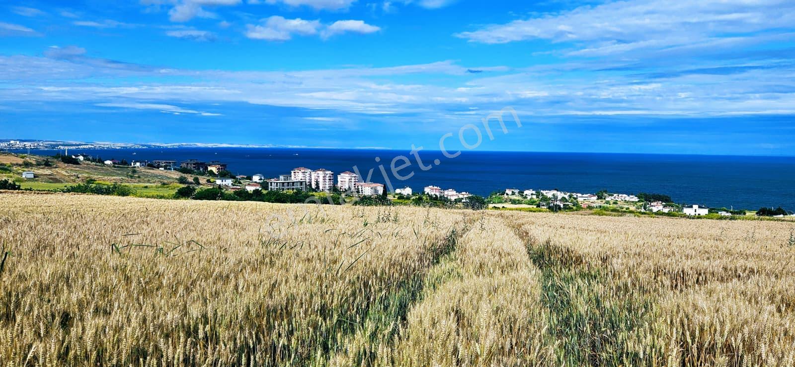 Full Deniz Ve Şehir Manzara Lüxs Havuzlu Yada 100 Adet 2+1 Daire Projesine Uygun Arsa - Görsel 10
