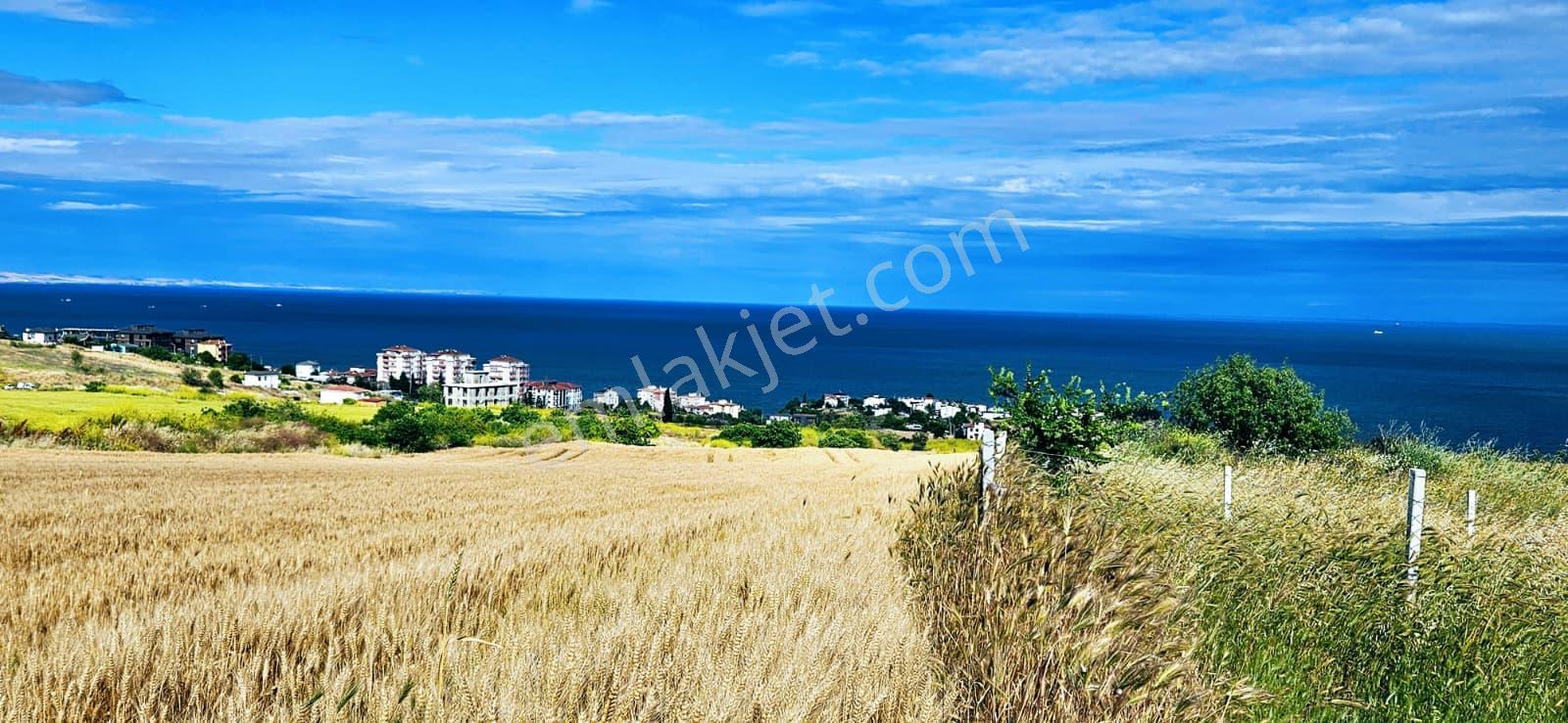 Full Deniz Ve Şehir Manzara Lüxs Havuzlu Yada 100 Adet 2+1 Daire Projesine Uygun Arsa - Görsel 23