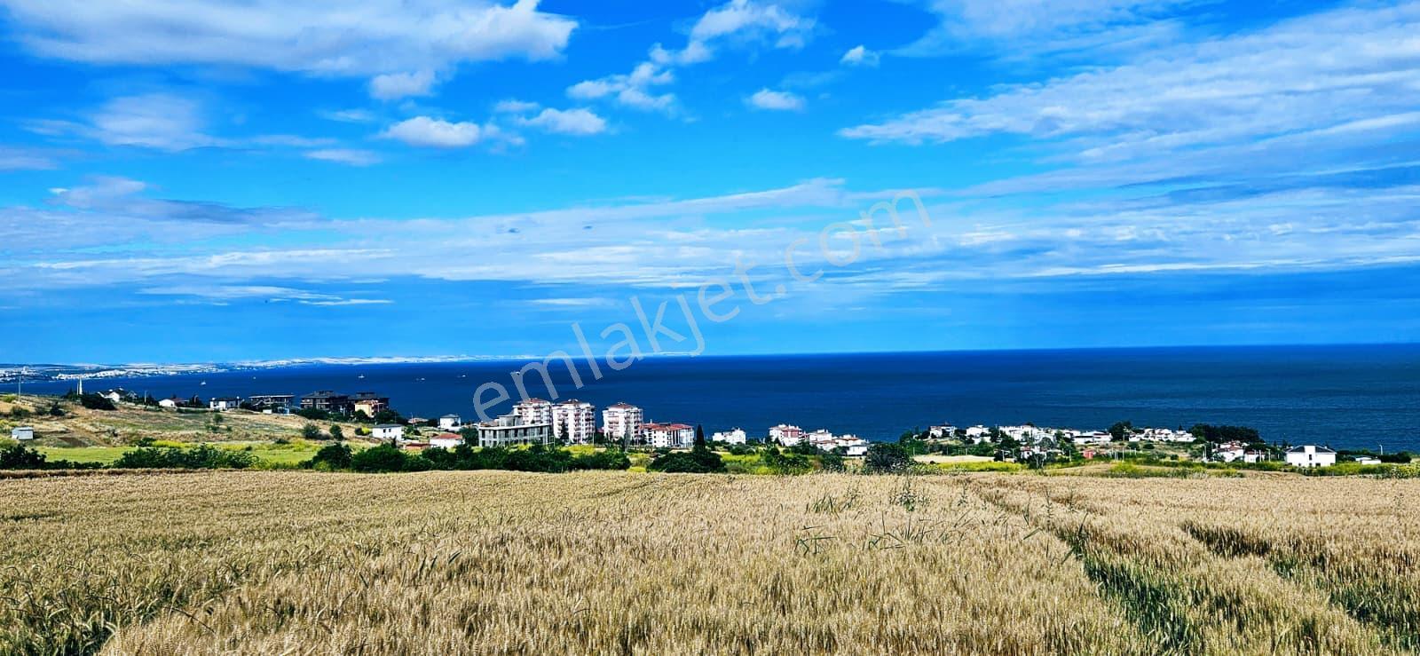 Full Deniz Ve Şehir Manzara Lüxs Havuzlu Yada 100 Adet 2+1 Daire Projesine Uygun Arsa - Görsel 13