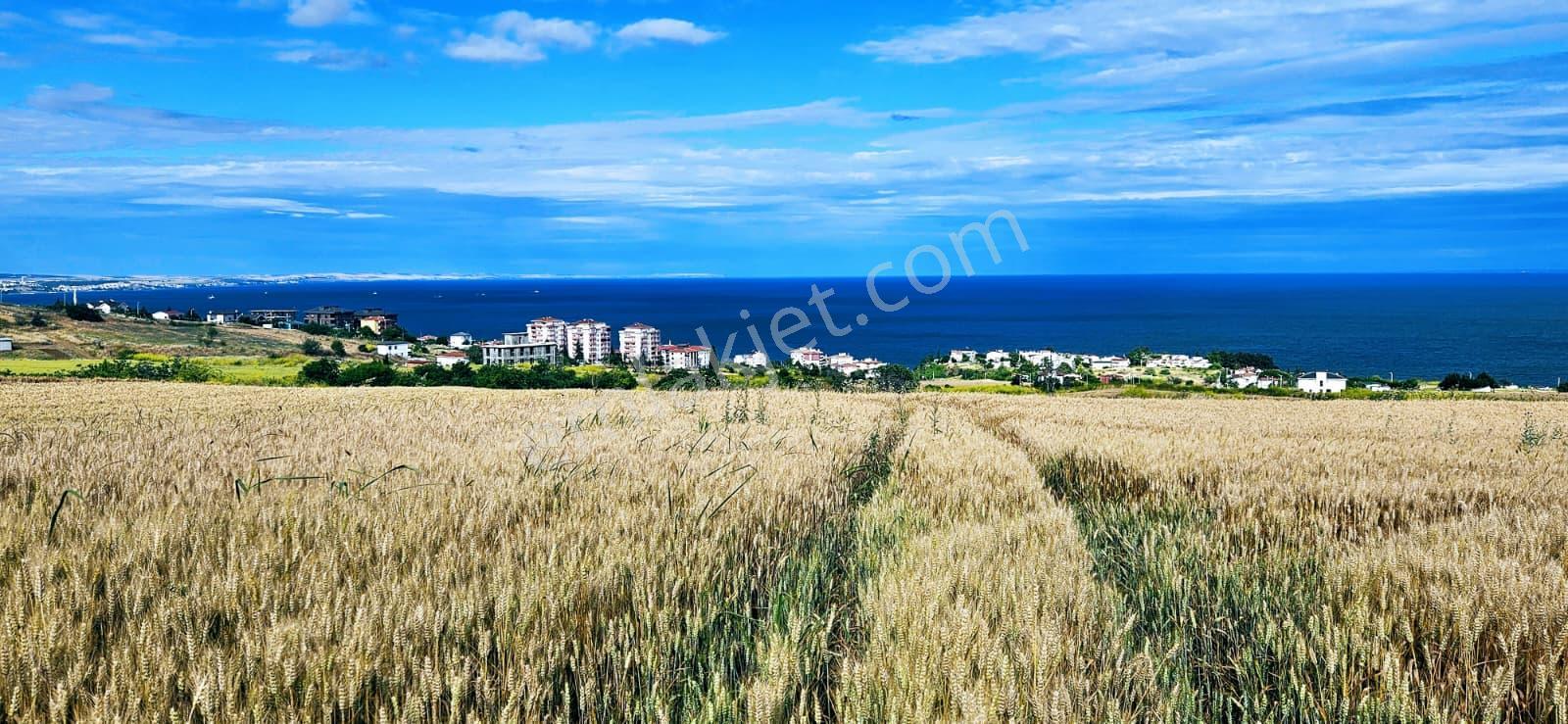Full Deniz Ve Şehir Manzara Lüxs Havuzlu Yada 100 Adet 2+1 Daire Projesine Uygun Arsa