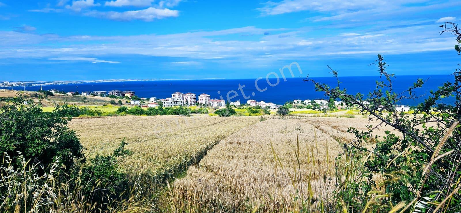 Full Deniz Ve Şehir Manzara Lüxs Havuzlu Yada 100 Adet 2+1 Daire Projesine Uygun Arsa - Görsel 32