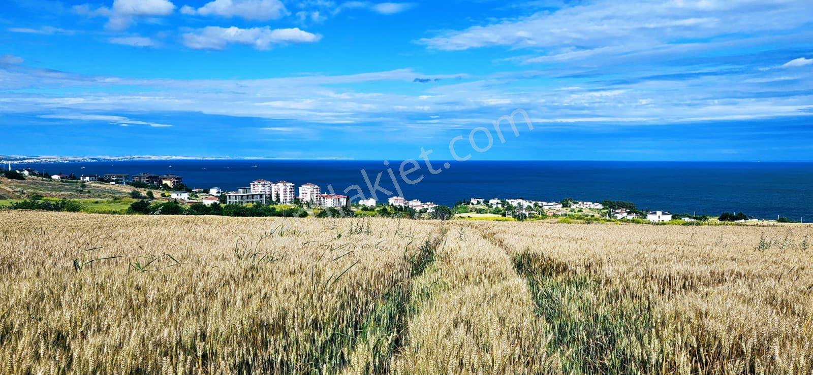 Full Deniz Ve Şehir Manzara Lüxs Havuzlu Yada 100 Adet 2+1 Daire Projesine Uygun Arsa - Görsel 14
